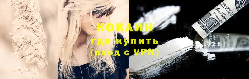 Cocaine Fish Scale  Завитинск 